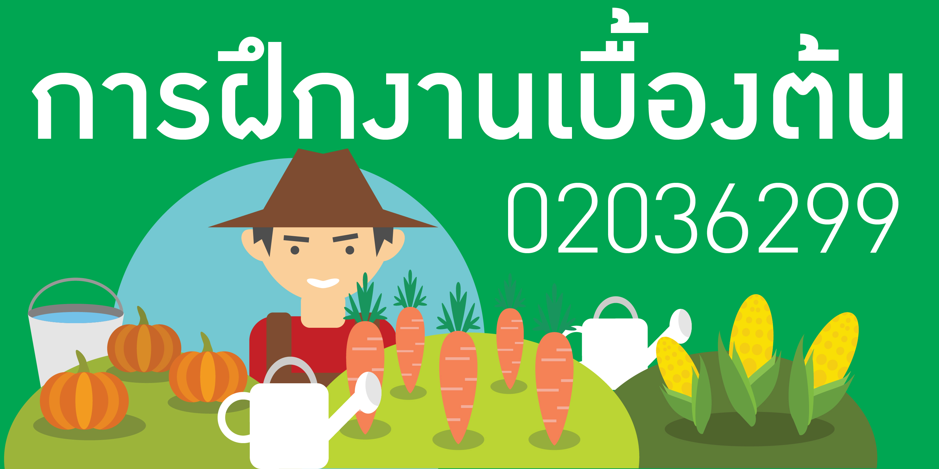 คณะเกษตร กำแพงแสน